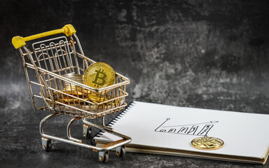Cryptocurrency Bitcoin in a cart among other coins in close-up on a dark background
