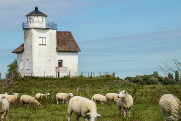 Impressionen von der Elbe