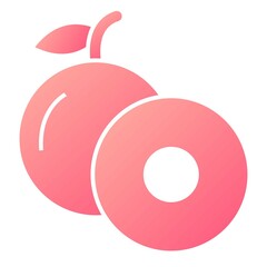 Vector Longan Glyph Gradient Icon Design
