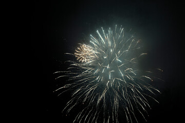 Obraz premium fireworks in the night sky
