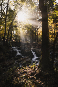 Selkefall Wasserfall im Harz Gebirge Deutschland mit Wasser und Herbst Nebel Sonnenstrahlen