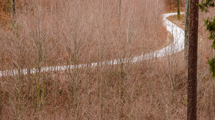 Leśna ośnieżona droga © Radek