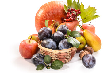 plum in a basket, pumpkin and other fruits