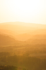 Sandstein Felsen in der Sächsischen Schweiz Sachsen Deutschland 