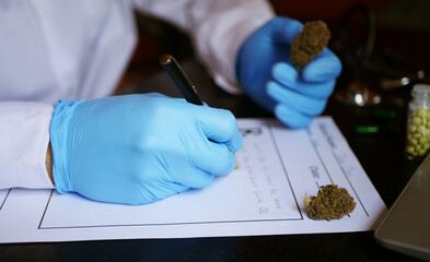 Doctor write prescription for medical cannabis. Alternative medicine concept. CBD therapy 