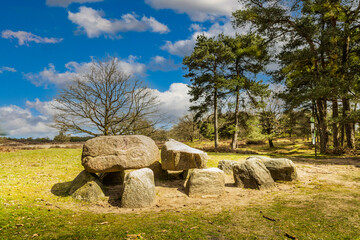 Dolmen D10   in the Dutch province of Drenthe with a background of oak trees.  A dolmen or in Dutch a Hunebed is construction work from the new stone age.