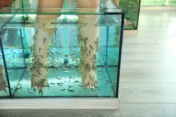 Salon with procedures for peeling women's legs with fish that are in an aquarium