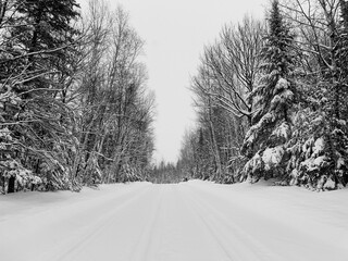 Obraz premium road in winter