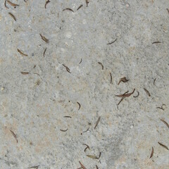 concrete texture