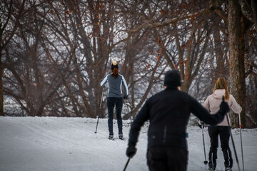 People are cross country skiing in a park in winter