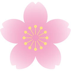 ピンクグラデーションの桜シルエットのイラスト