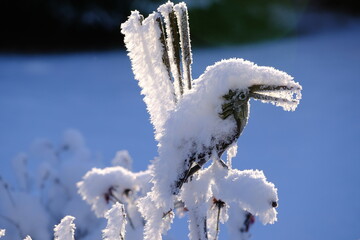 Beautiful winter snow formations - 477853493