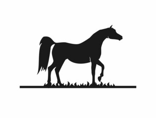 Horse silhouette vector design
