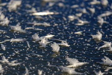 Fascinating ice crystalls on a frozen lake - 477854242