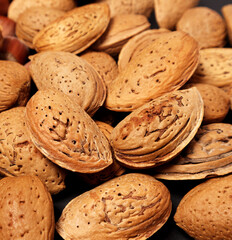 Almond nuts background. Almond with shell. Selective focus.