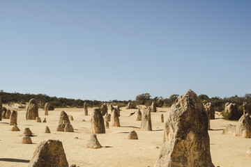 Deserto dei pinnacoli, Australia