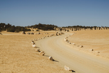 Deserto dei pinnacoli, Australia