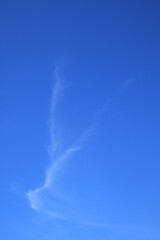 Naklejka na ściany i meble Wispy cloud in blue sky