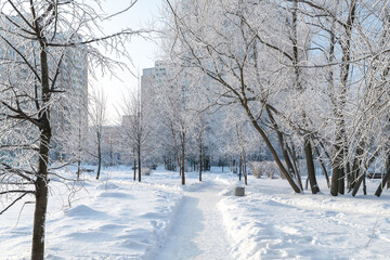 Snow-covered boulevard in microdistrict 20 Zelenograd in Moscow, Russia