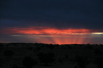 Sunset at Kalahari Tented Camp, Kgalagadi