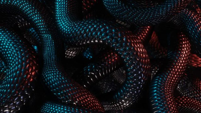 Pile of Black Snakes Top View. 3D Looped Animation