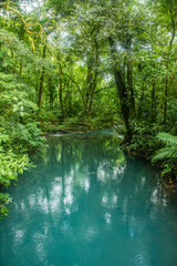 Fototapeta na wymiar Turquoise Rio Celeste, Tenorio Volcano National Park, Guanacaste, Costa Rica