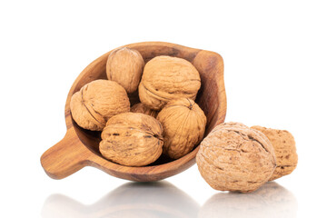 Several ripe delicious walnuts with a wooden dish, close-up, isolated on white.