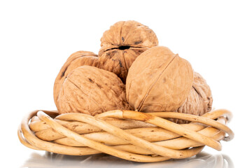 Several ripe delicious walnuts with a vine wreath, close-up, isolated on white.