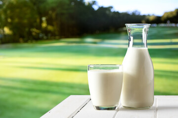Glass and bottle of fresh milk on white wooden table with green park background.