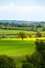 Single trees in flat farmland landscape and rolling hills in Skåne Sweden in springtime