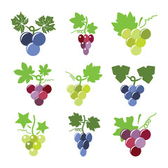 vector colorful icons of grapes