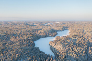 Winter forest landscape on a sunny day. Pines under the snow. drone photo. Scandinavian nature. Finland.