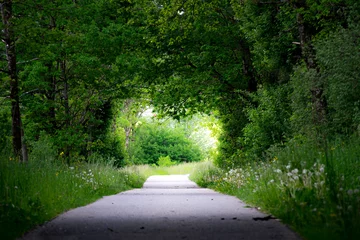 Fototapeten path in the forest of Weiler-Simmerberg through a heart naturally built from trees © Alin