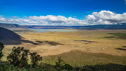 wildlife and animals in tanzania safari ngorongoro