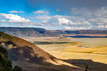 wildlife and animals in tanzania safari ngorongoro