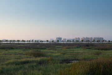 That Luang Lake, Vientiane Lao PDR