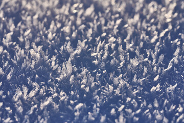 macro of hoarfrost crystals after cold, frosty  winter night 