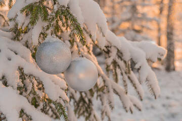 Christmas toys on a branch in the snow. Outdoors. Christmas concept, holidays, greeting card background.