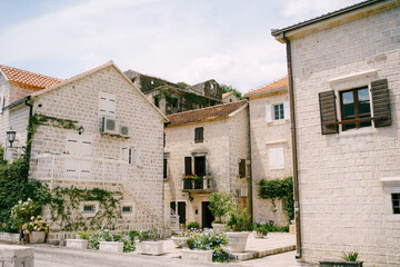 Old stone houses with shutters on the windows and flower beds with greenery in the courtyard
