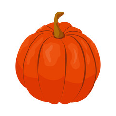 Farmers Market Pumpkin Composition