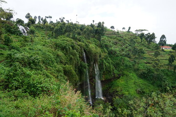 One of the Sipi Falls coming out of lush and dense vegetation