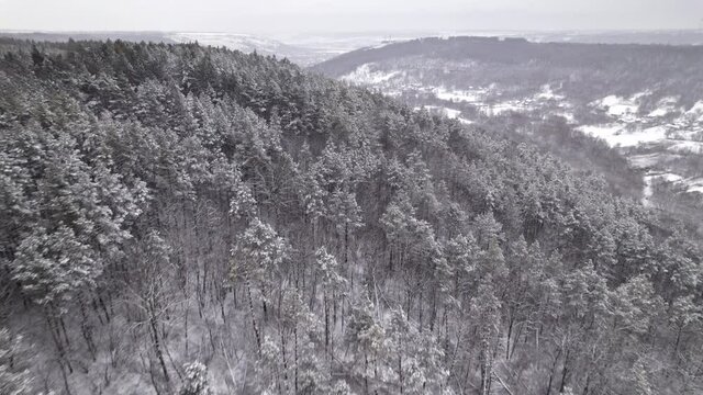 Drone aerial shot of flying over winter treetops with snow. Amazing forest. Flight above mountain wood, nature landscape, texture background.