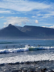 surfing in cape town, south africa