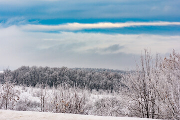 Winter forest in the village of Sosnovy Solonets, Samarskaya Luka National Park!
