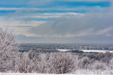 Winter forest in the village of Sosnovy Solonets, Samarskaya Luka National Park!