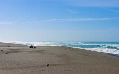 Sandy beach with driftwood in the Pacific Ocean off the California coast.
