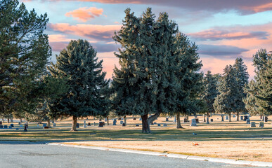 Cemetery in Autumn