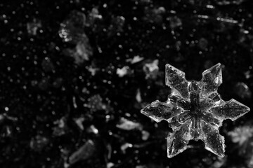 Snowflake with Water Droplets on a Blurred Black and White Background