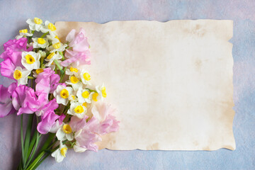 Bouquet of pink sweet pea flowers, yellow daffodils and paper for the text congratulations.