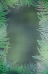 fern leaves frame natural 